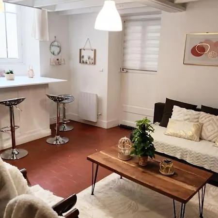Duplex En Centre-ville Le Mans
