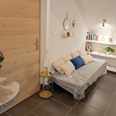 Appartement Duplex En Centre-ville *