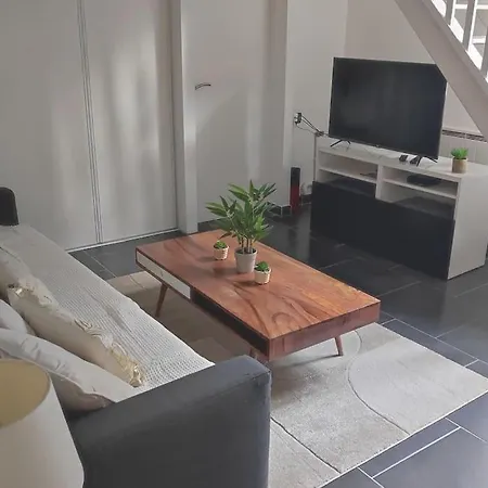 Duplex En Centre-ville Apartment Le Mans