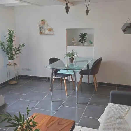 Duplex En Centre-ville דירה לה מאנש