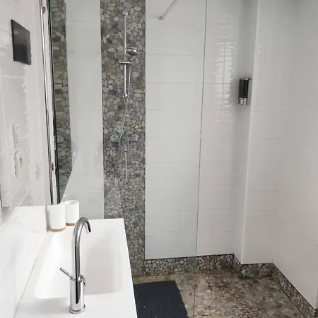 Duplex En Centre-ville Apartment
