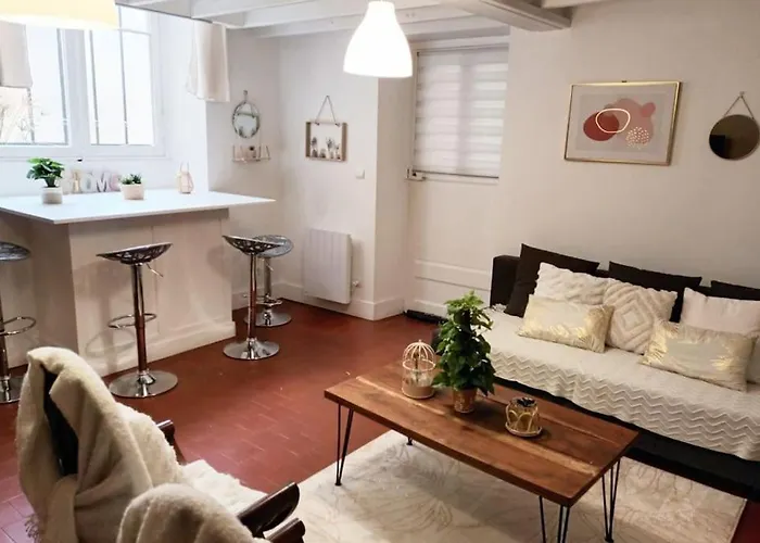 Duplex En Centre-ville Le Mans