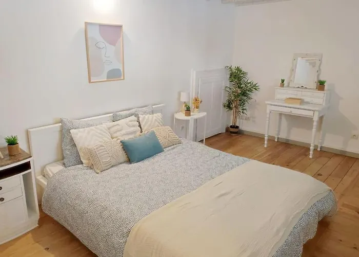 Duplex En Centre-ville Le Mans